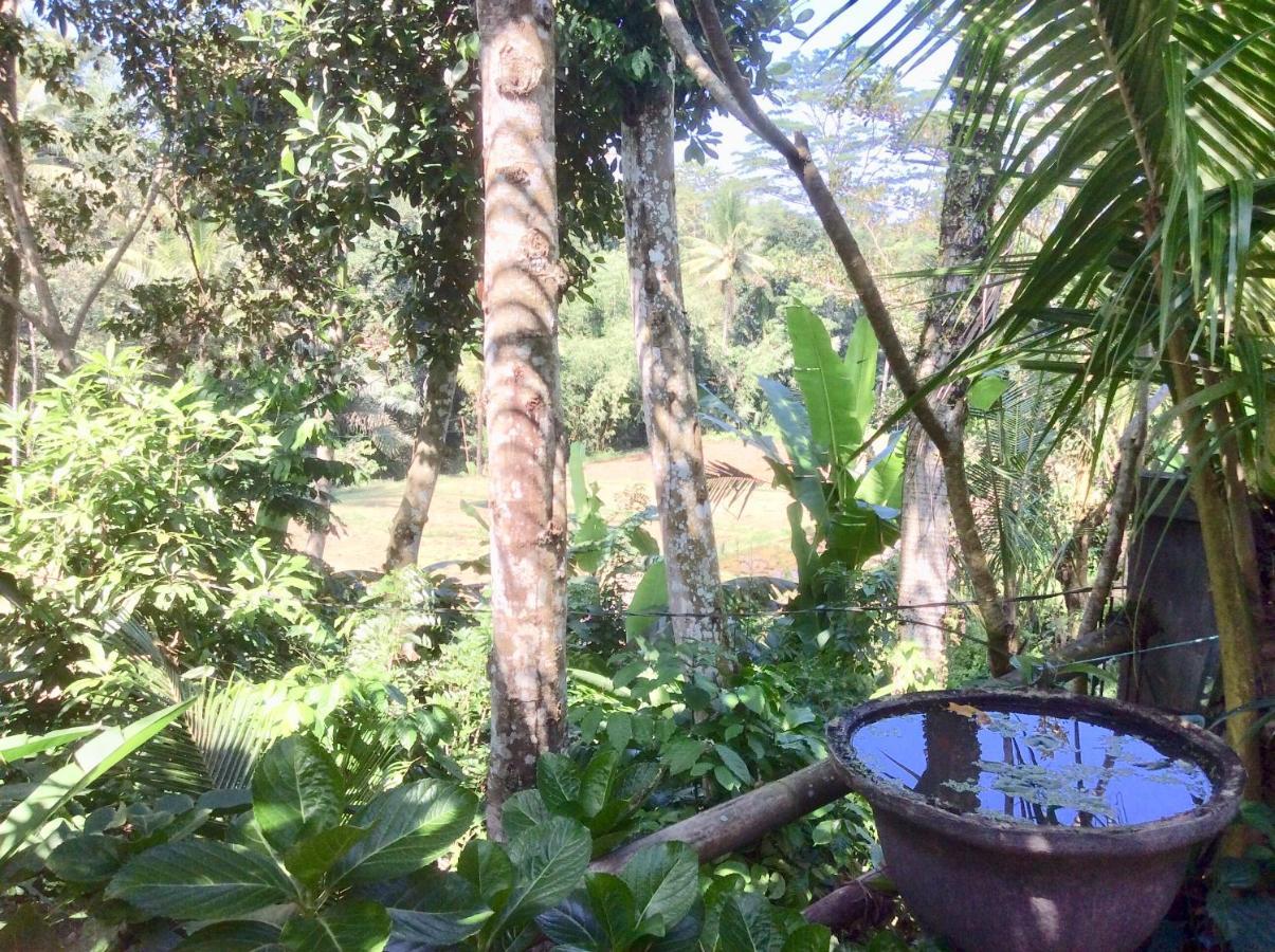 Rumah Irak Et Kadek Bali Ubud Exterior foto