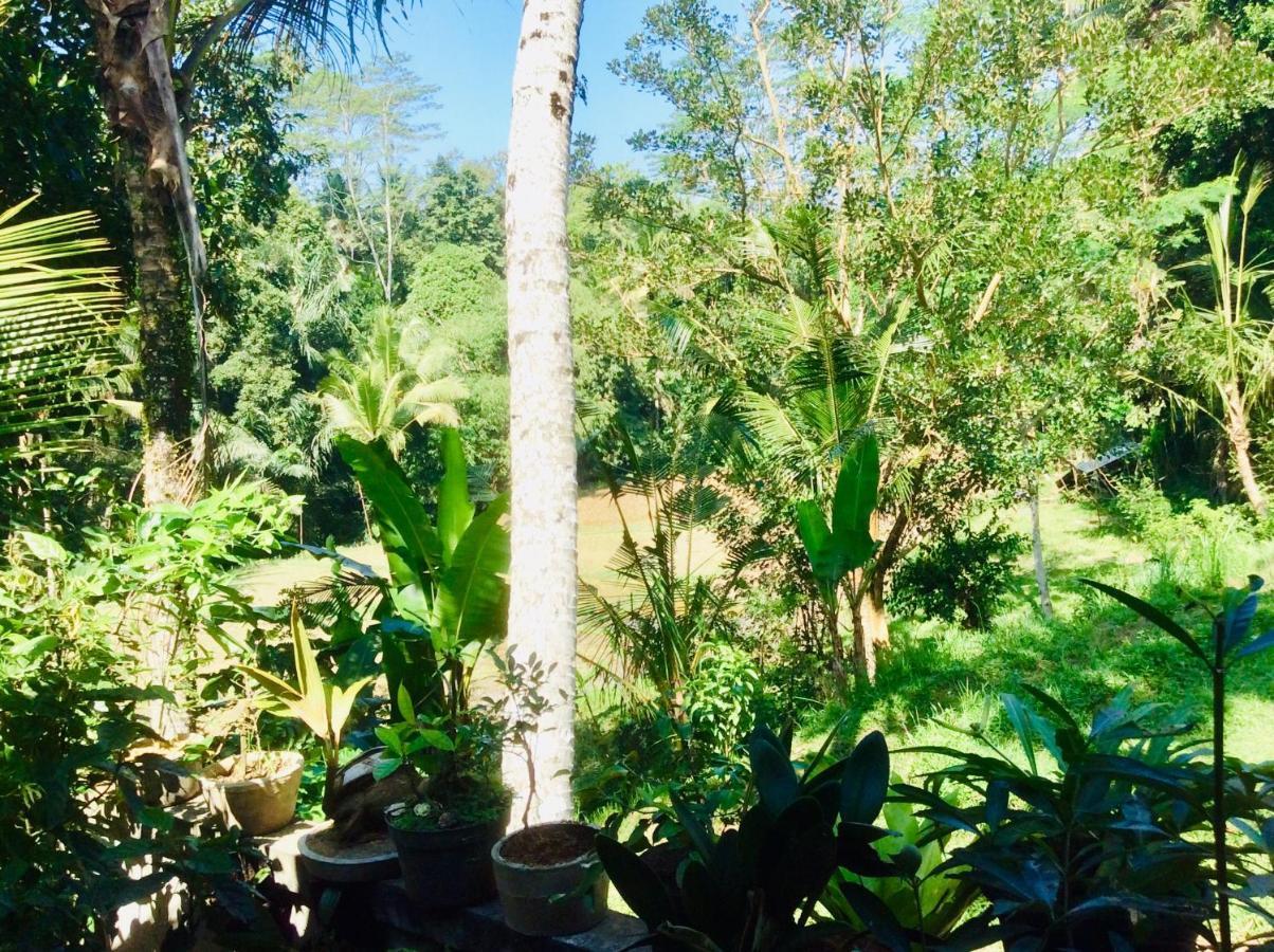 Rumah Irak Et Kadek Bali Ubud Exterior foto