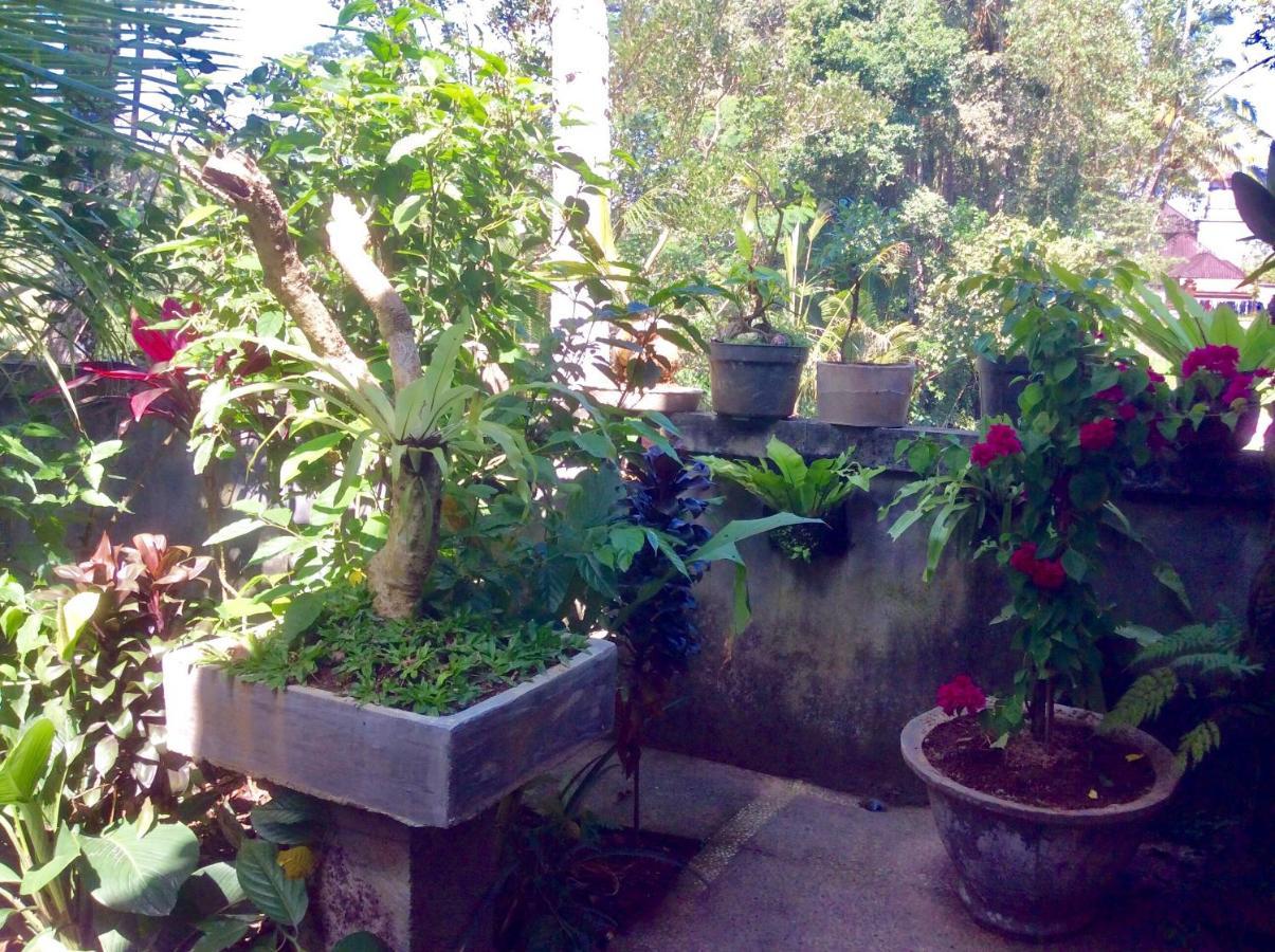 Rumah Irak Et Kadek Bali Ubud Exterior foto