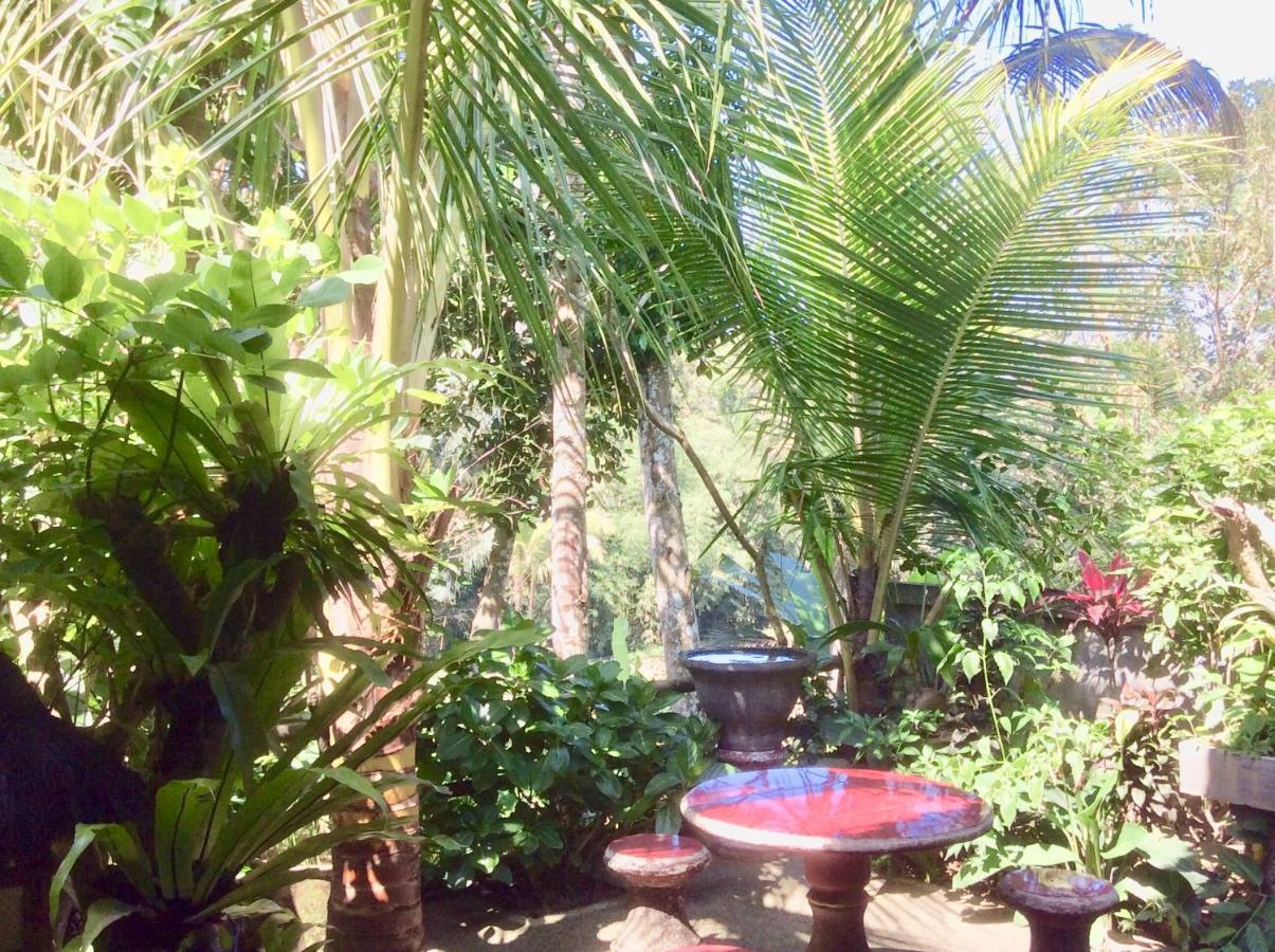 Rumah Irak Et Kadek Bali Ubud Exterior foto